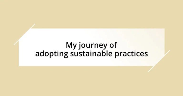 My journey of adopting sustainable practices