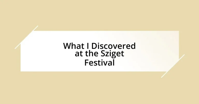 What I Discovered at the Sziget Festival