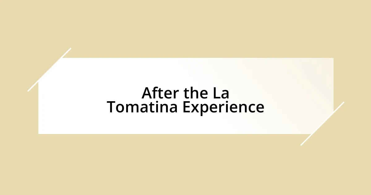 After the La Tomatina Experience