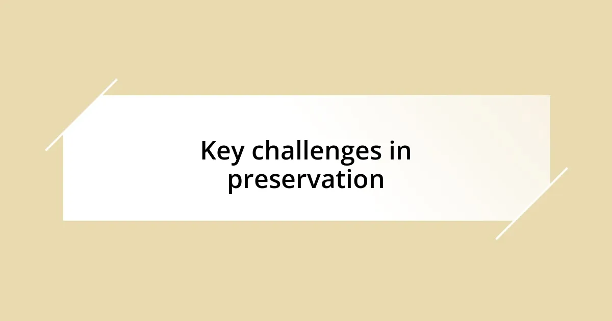 Key challenges in preservation