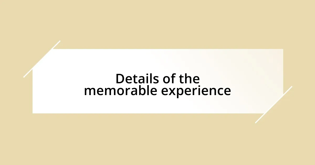 Details of the memorable experience